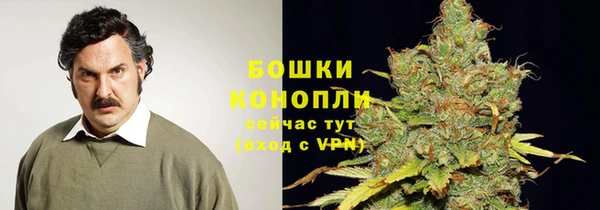 твердый Лиски